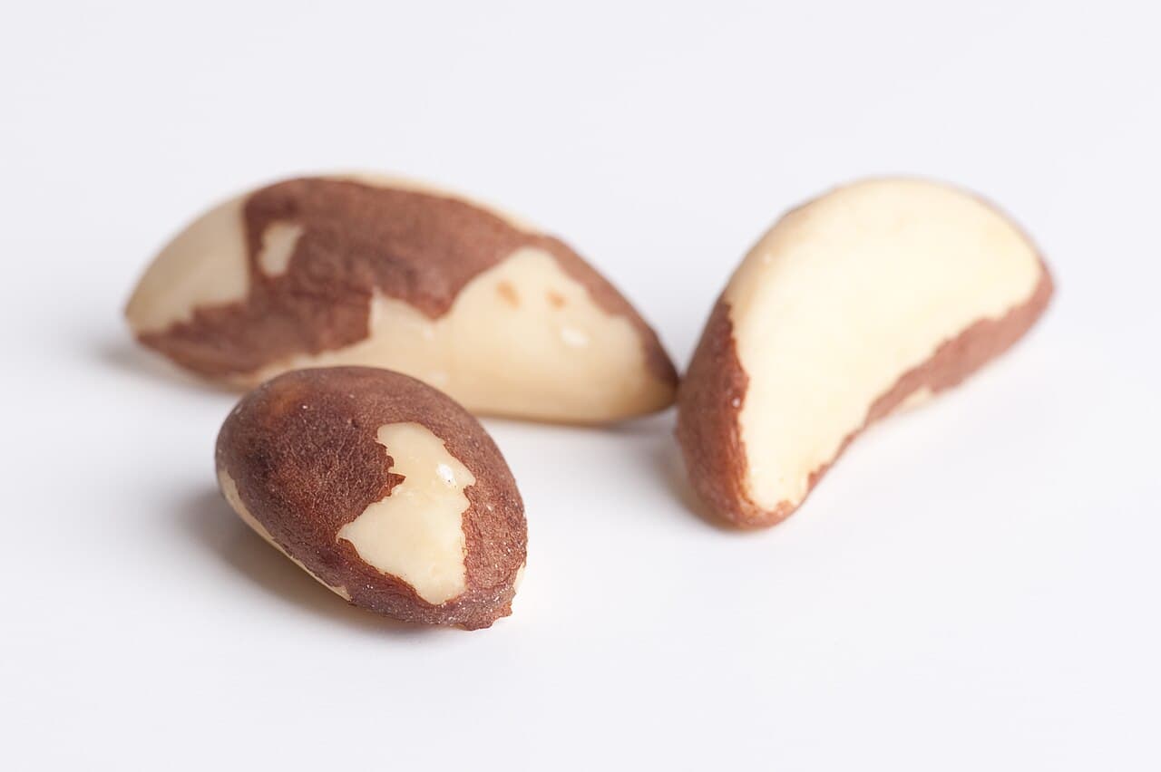 Compra: Castanha-do-Brasil Com Casca — a partir de 500 kg